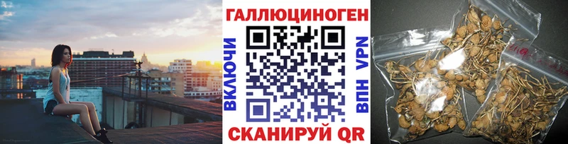 Купить где  Бавлы  Псилоцибиновые грибы MAGIC MUSHROOMS 